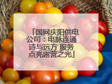 国网庆阳供电公司：电脉连通诗与远方 服务点亮露营之光