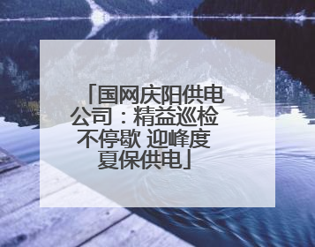 国网庆阳供电公司：精益巡检不停歇 迎峰度夏保供电
