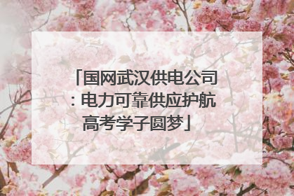 国网武汉供电公司：电力可靠供应护航高考学子圆梦