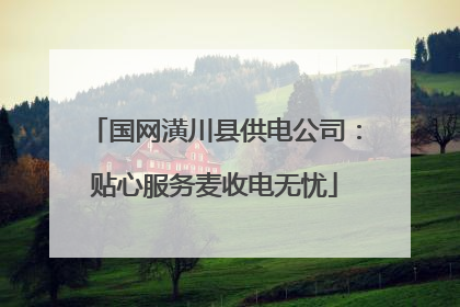 国网潢川县供电公司：贴心服务麦收电无忧