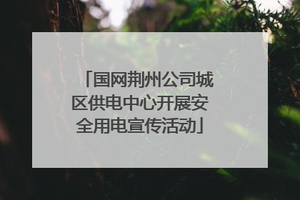 国网荆州公司城区供电中心开展安全用电宣传活动