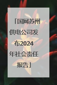 国网苏州供电公司发布2024年社会责任报告