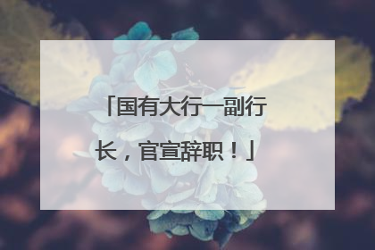 国有大行一副行长，官宣辞职！