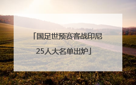 国足世预赛客战印尼25人大名单出炉