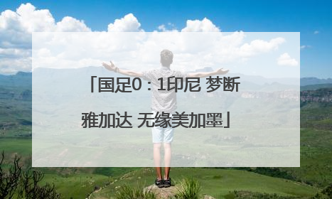 国足0∶1印尼 梦断雅加达 无缘美加墨
