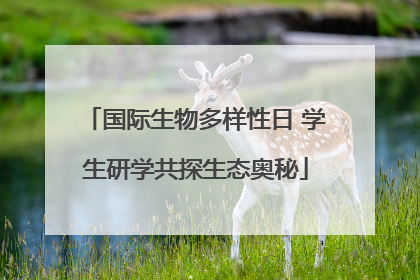 国际生物多样性日 学生研学共探生态奥秘