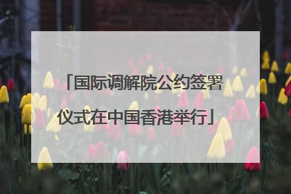 国际调解院公约签署仪式在中国香港举行