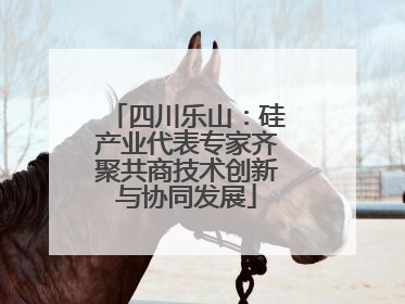 四川乐山：硅产业代表专家齐聚共商技术创新与协同发展