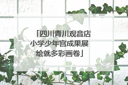 四川青川观音店小学少年宫成果展绘就多彩画卷