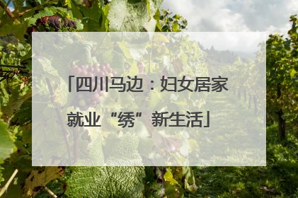 四川马边：妇女居家就业“绣”新生活