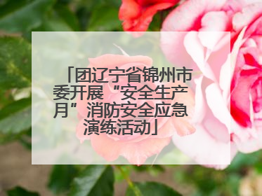 团辽宁省锦州市委开展“安全生产月”消防安全应急演练活动