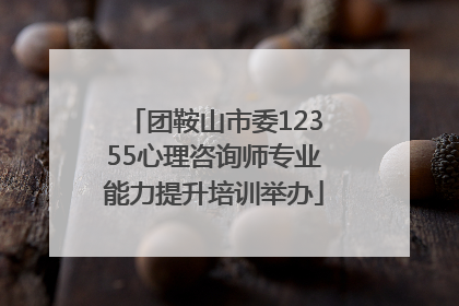团鞍山市委12355心理咨询师专业能力提升培训举办