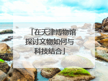 在天津博物馆探讨文物如何与科技结合