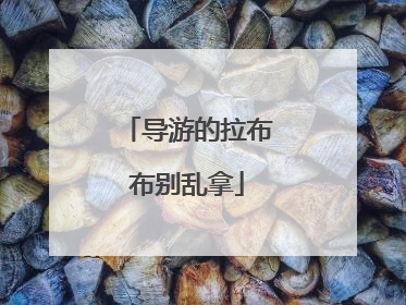 导游的拉布布别乱拿