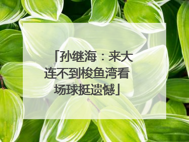孙继海：来大连不到梭鱼湾看场球挺遗憾