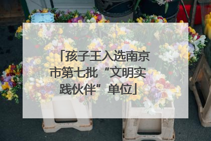 孩子王入选南京市第七批“文明实践伙伴”单位