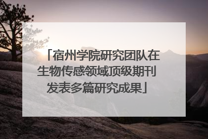 宿州学院研究团队在生物传感领域顶级期刊发表多篇研究成果