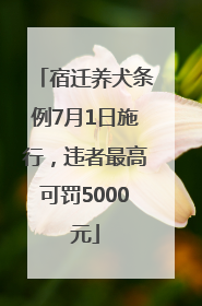 宿迁养犬条例7月1日施行，违者最高可罚5000元