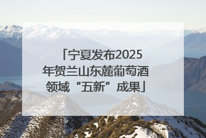 宁夏发布2025年贺兰山东麓葡萄酒领域“五新”成果