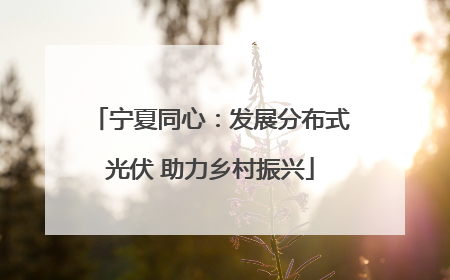宁夏同心：发展分布式光伏 助力乡村振兴
