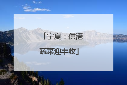 宁夏：供港蔬菜迎丰收