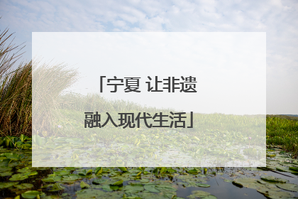 宁夏 让非遗融入现代生活