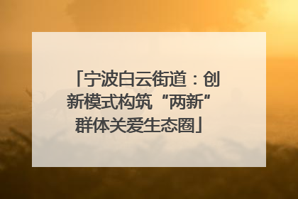 宁波白云街道：创新模式构筑“两新”群体关爱生态圈