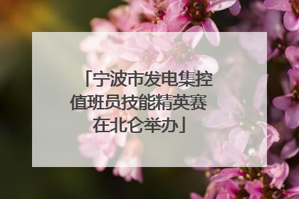 宁波市发电集控值班员技能精英赛在北仑举办