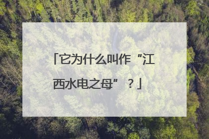 它为什么叫作“江西水电之母”？