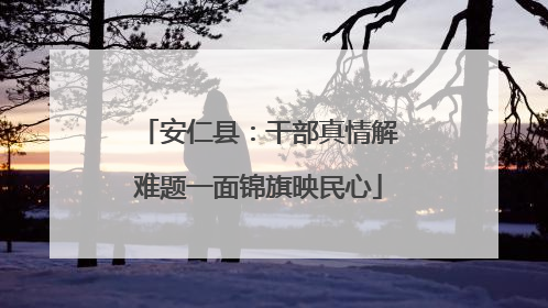安仁县：干部真情解难题一面锦旗映民心