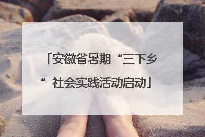 安徽省暑期“三下乡”社会实践活动启动