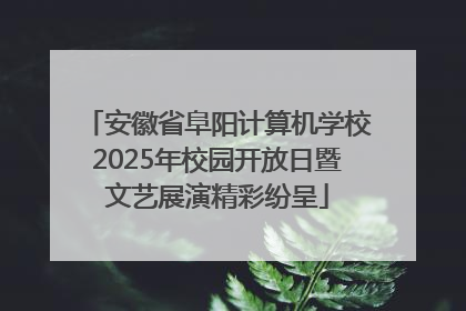 安徽省阜阳计算机学校2025年校园开放日暨文艺展演精彩纷呈