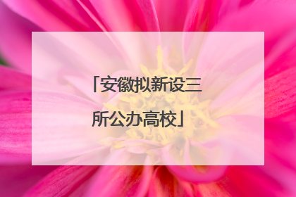 安徽拟新设三所公办高校