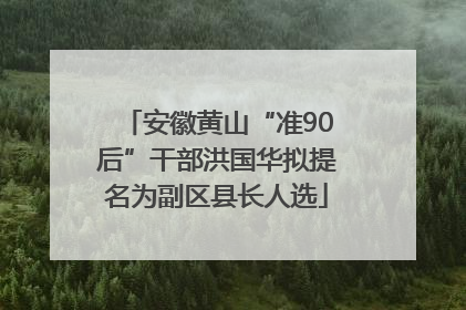 安徽黄山“准90后”干部洪国华拟提名为副区县长人选