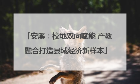 安溪：校地双向赋能 产教融合打造县域经济新样本