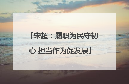 宋超：履职为民守初心 担当作为促发展