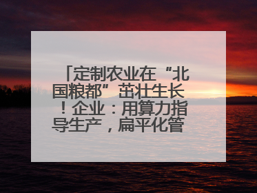 定制农业在“北国粮都”茁壮生长！企业：用算力指导生产，扁平化管理种地