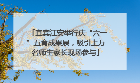宜宾江安举行庆“六一”五育成果展，吸引上万名师生家长现场参与