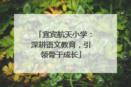 宜宾航天小学：深耕语文教育，引领骨干成长