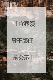 宜春领导干部任前公示