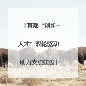 宜都“创新+人才”双轮驱动助力支点建设