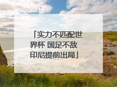 实力不匹配世界杯 国足不敌印尼提前出局