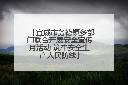 宣威市务德镇多部门联合开展安全宣传月活动 筑牢安全生产人民防线
