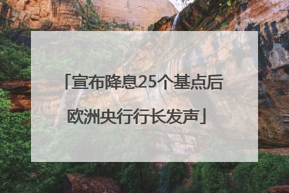 宣布降息25个基点后 欧洲央行行长发声