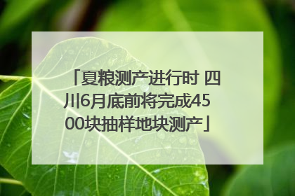 夏粮测产进行时 四川6月底前将完成4500块抽样地块测产
