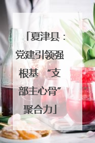 夏津县：党建引领强根基 “支部主心骨”聚合力