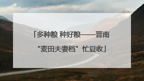 多种粮 种好粮——晋南“麦田夫妻档”忙夏收