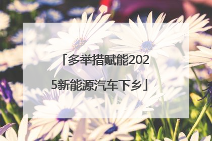 多举措赋能2025新能源汽车下乡