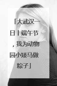 大武汉一日丨端午节，我为动物园小矮马做粽子