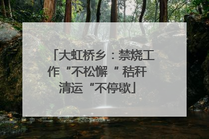 大虹桥乡：禁烧工作“不松懈“ 秸秆清运“不停歇